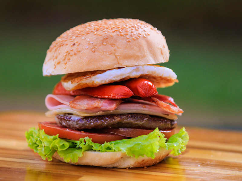 TUDÃO HAMBURGUER V-MAX